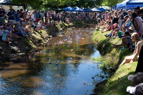 Pound Creek Gallery - Yamba Accommodation 15