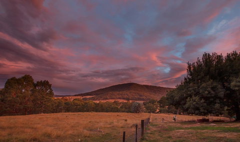 Pound Creek Gallery - Yamba Accommodation 28