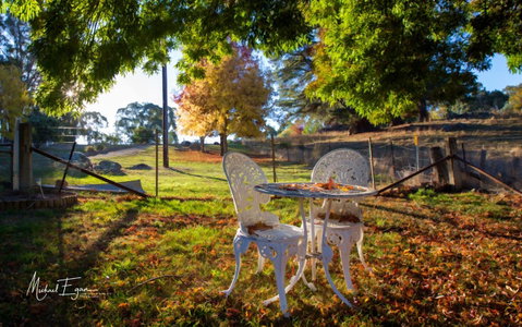 Pound Creek Gallery - Yamba Accommodation 27