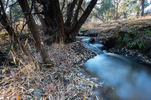 Pound Creek Gallery - Yamba Accommodation 26