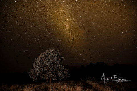 Pound Creek Gallery - Yamba Accommodation 12