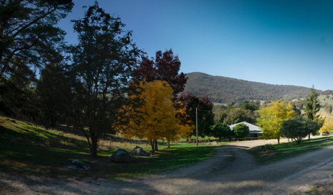 Pound Creek Gallery - Yamba Accommodation 7