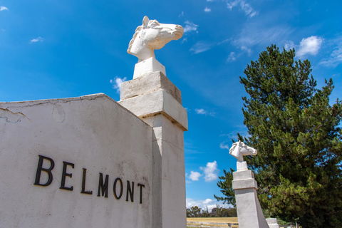 Belmont - Yamba Accommodation 4