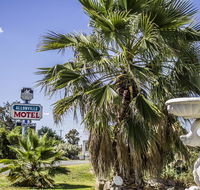Allonville Gardens Motel - Yamba Accommodation