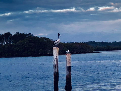 Boathouse Resort (Water Front) - Yamba Accommodation 15