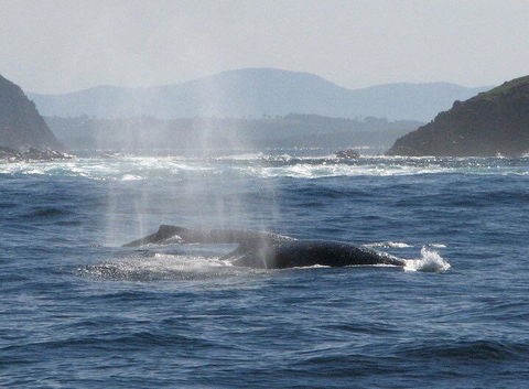 Boathouse Resort (Water Front) - Yamba Accommodation 26