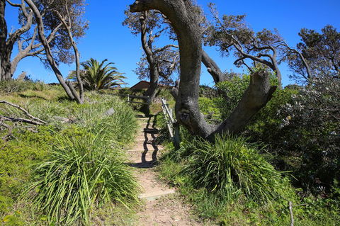 Abode @ Culburra - Pet Friendly - 4 Mins To Beach - Yamba Accommodation 25