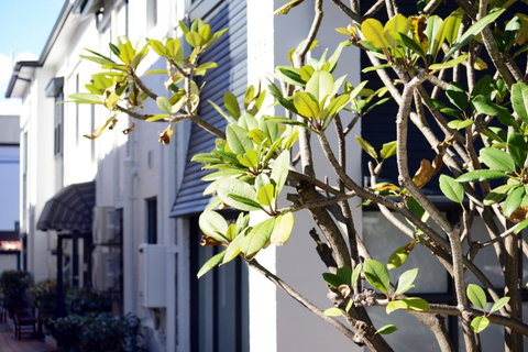 Avoca Randwick By Sydney Lodges - Yamba Accommodation 34