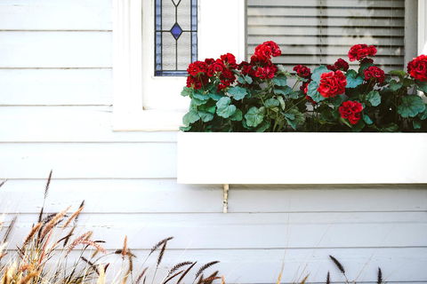 Morpeth Cottage - Yamba Accommodation 41