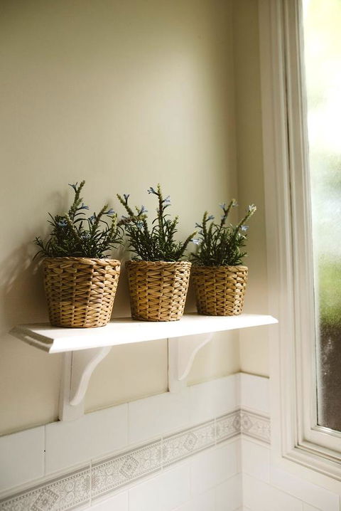 Morpeth Cottage - Yamba Accommodation 31