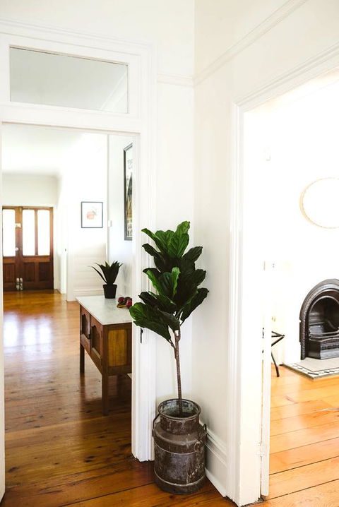 Morpeth Cottage - Yamba Accommodation 3