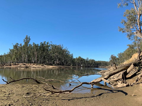 Corowa Bindaree Holiday Park - Yamba Accommodation 1