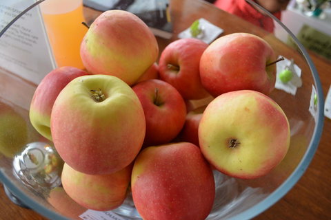 The Apple Inn - Yamba Accommodation 12