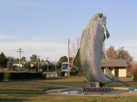 Cooma Motor Lodge Motel - Yamba Accommodation 19
