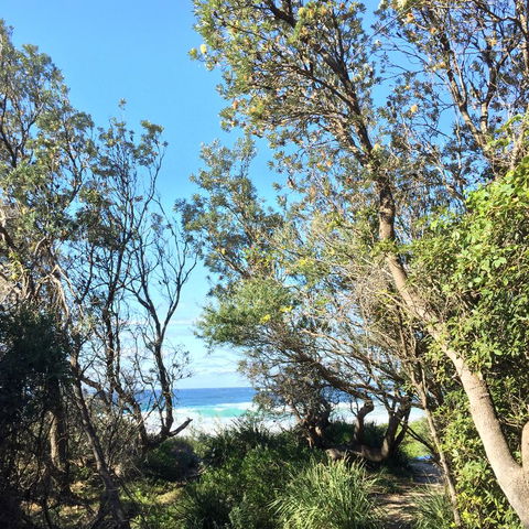 Salthouse Berrara - Yamba Accommodation 22