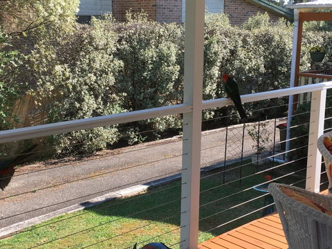 The Best Exotic Magnolia Cottage - Yamba Accommodation 15