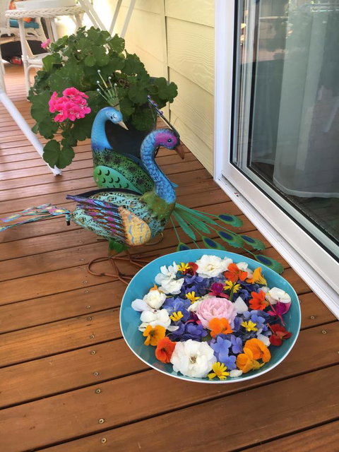 The Best Exotic Magnolia Cottage - Yamba Accommodation 8