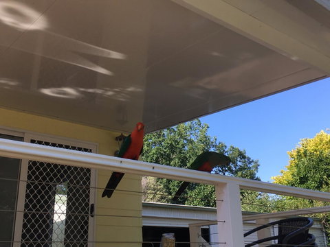 The Best Exotic Magnolia Cottage - Yamba Accommodation 11