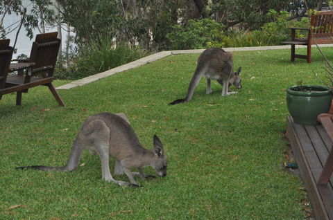 By The Beach B&B Self Contained Apartments - Yamba Accommodation 28