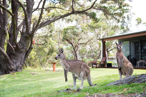 By The Beach B&B Self Contained Apartments - Yamba Accommodation 17