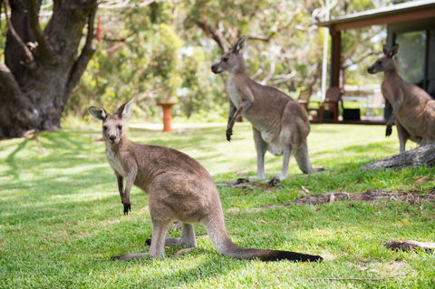 By The Beach B&B Self Contained Apartments - Yamba Accommodation 16