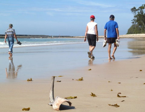 Mollymook Surfbeach Motel & Apartments - Yamba Accommodation 13