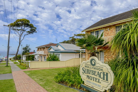 Mollymook Surfbeach Motel & Apartments - Yamba Accommodation 18