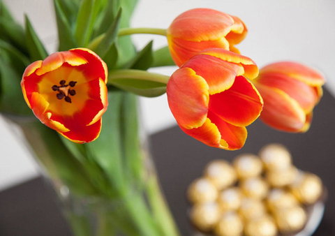 Wine Country Motor Inn - Yamba Accommodation 10