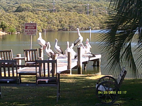 Pelican H2O One & Two Bedroom Apartments - Yamba Accommodation 9
