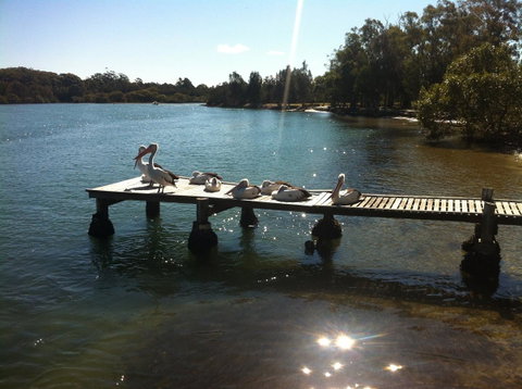 Pelican H2O One & Two Bedroom Apartments - Yamba Accommodation 5