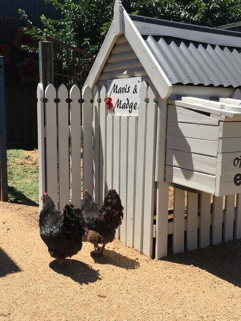 Thelma's Temora - Yamba Accommodation 12