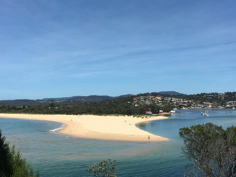 Black Dolphin Resort Motel & Apartments - Yamba Accommodation 7