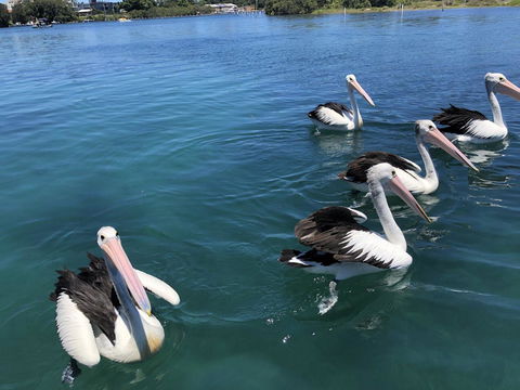 Centrepoint 10 - Yamba Accommodation 8