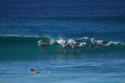 Glen Villa Resort - Yamba Accommodation 18