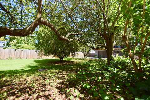 Wildlife Lodge Katoomba - Yamba Accommodation 26