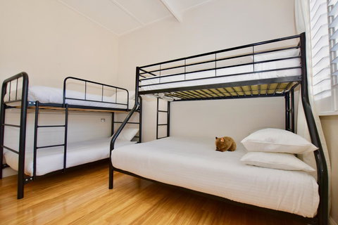 Wildlife Lodge Katoomba - Yamba Accommodation 7