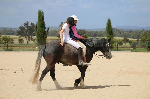 Belisi Farmstay Cottage - Yamba Accommodation 28