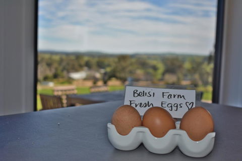 Belisi Farmstay Cottage - Yamba Accommodation 20