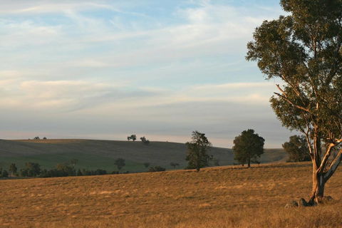 Belisi Farmstay Cottage - Yamba Accommodation 33