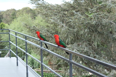 Bundanoon Lodge - Yamba Accommodation 7