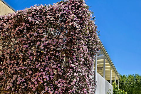 Bundanoon Lodge - Yamba Accommodation 13