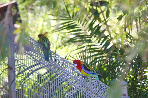 Marty's @ Little Beach - Yamba Accommodation 27