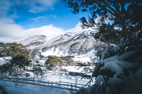 Pure Chalet Thredbo - Yamba Accommodation 31