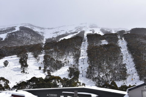 Pure Chalet Thredbo - Yamba Accommodation 6