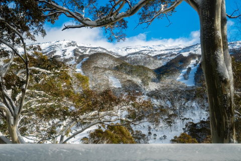 Pure Chalet Thredbo - Yamba Accommodation 17