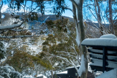 Pure Chalet Thredbo - Yamba Accommodation 30