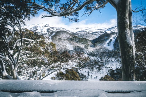 Pure Chalet Thredbo - Yamba Accommodation 2