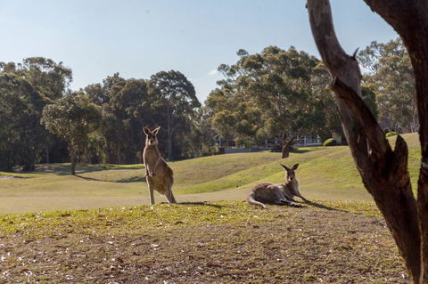 Horizons Retreat & Golf, Villa 133 - Yamba Accommodation 18