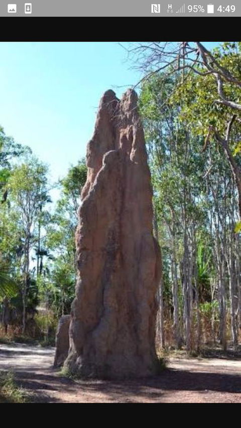'Tropical Oasis - Darwin NT - Yamba Accommodation 31