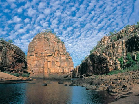 Pine Tree Motel - Yamba Accommodation 42